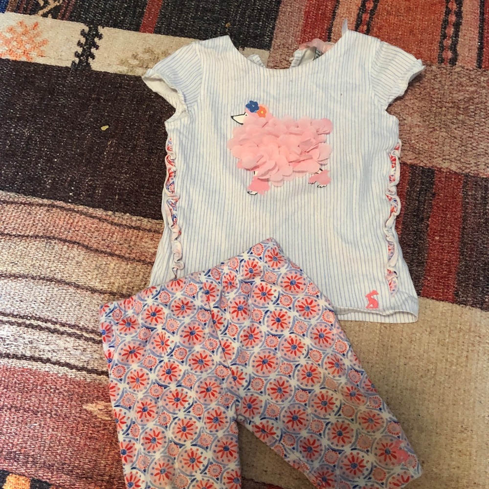 Poodle outfit🥰